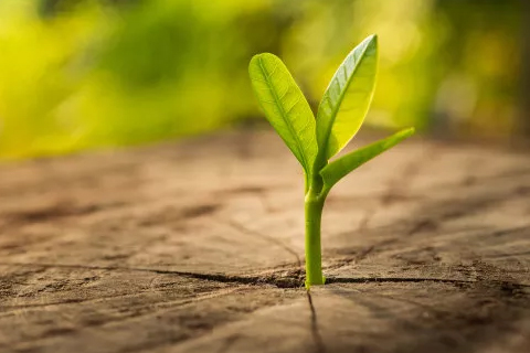 環(huán)境保護(hù)